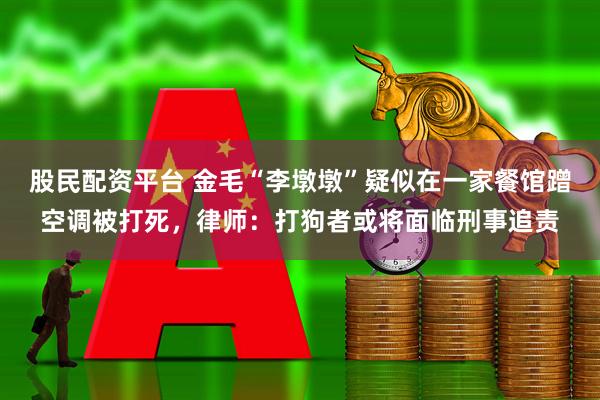 股民配资平台 金毛“李墩墩”疑似在一家餐馆蹭空调被打死，律师：打狗者或将面临刑事追责