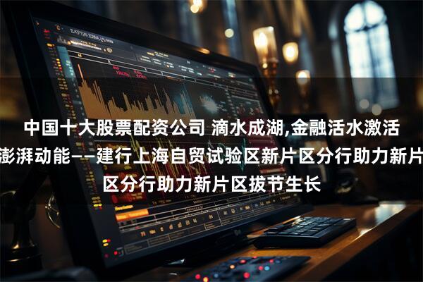 中国十大股票配资公司 滴水成湖,金融活水激活临港新片区澎湃动能——建行上海自贸试验区新片区分行助力新片区拔节生长